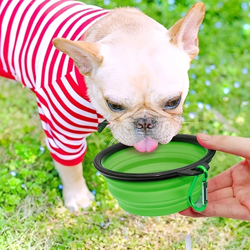 Portable Collapsible Pet Food & Water Bowl for Dogs & Cats