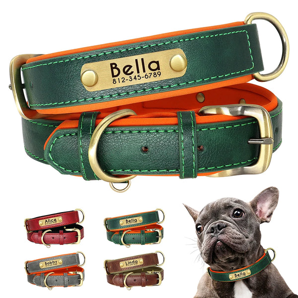 Personalized Comfort Dog Collar