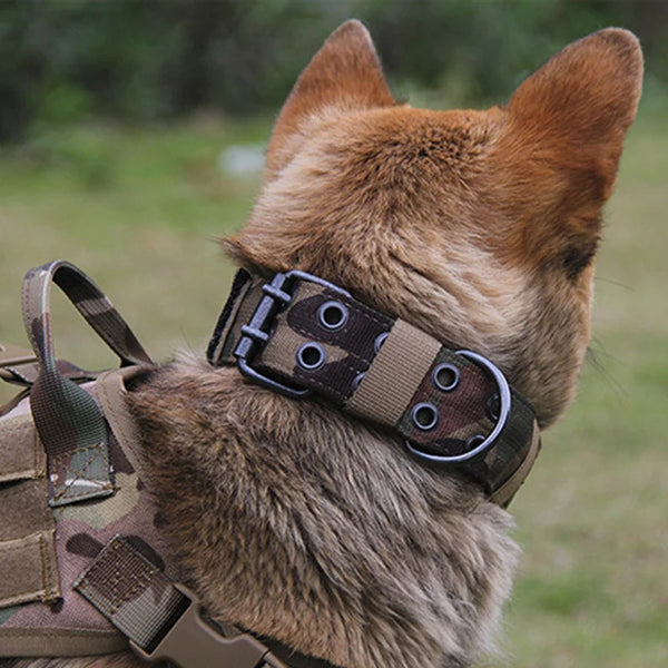 Ultimate Tactical Dog Collar