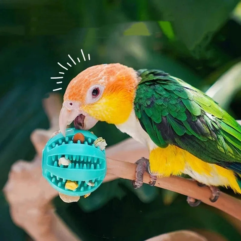 Tooth Cleaning Chew Dog Ball & Toy