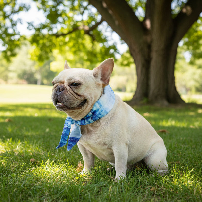 Dogs Ice Cool Neck Bandana – Instant Cooling Pet Scarf Collar | Summer Heatstroke Prevention Breathable Dog Cooling Bandana