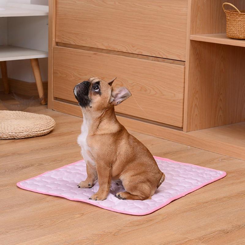 Cooling Dog Mat – Instant Summer Relief for Dogs | Loki & Daisy
