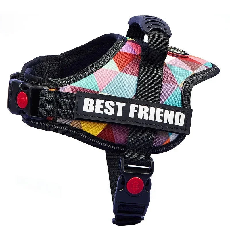 NO PULL Dog Harness Personalized With Your Dog Name