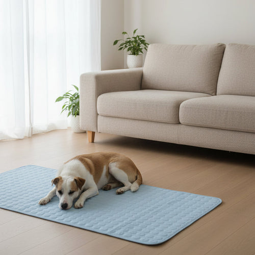 Cooling Dog Mat – Instant Summer Relief for Dogs | Loki & Daisy