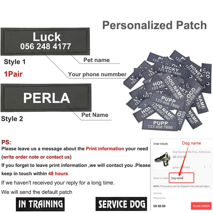 Personalized No Pull Dog Harness