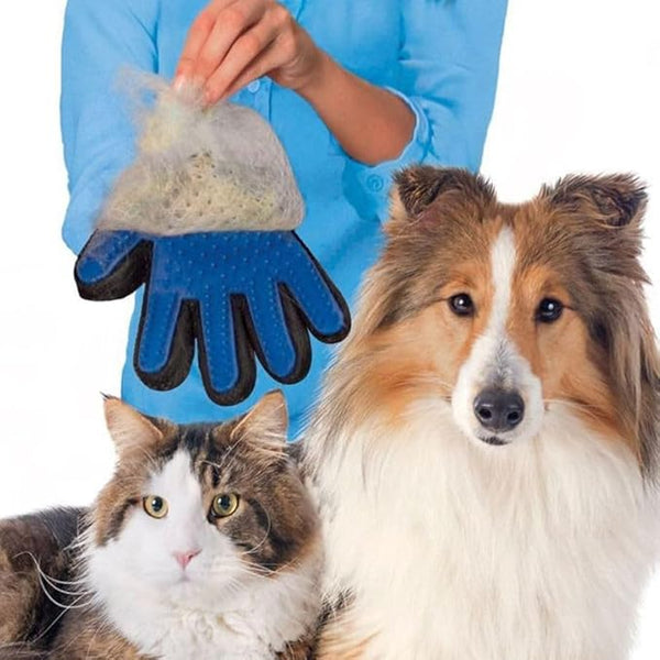 pet brush 1.jpg