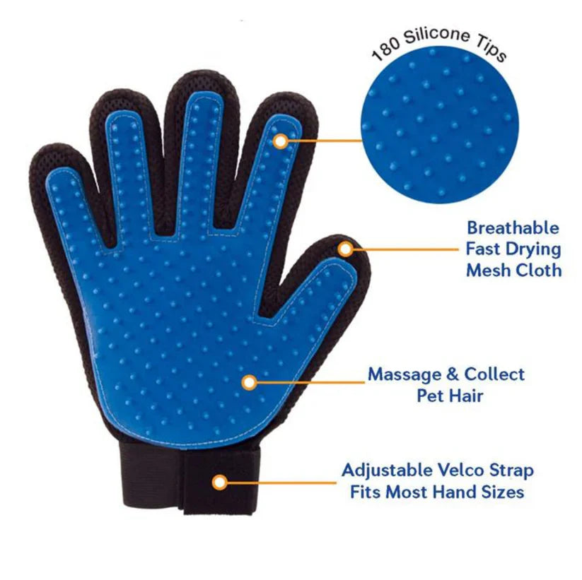 Blue pet grooming glove with black accents, showing features like silicone tips and adjustable velcro strap.
