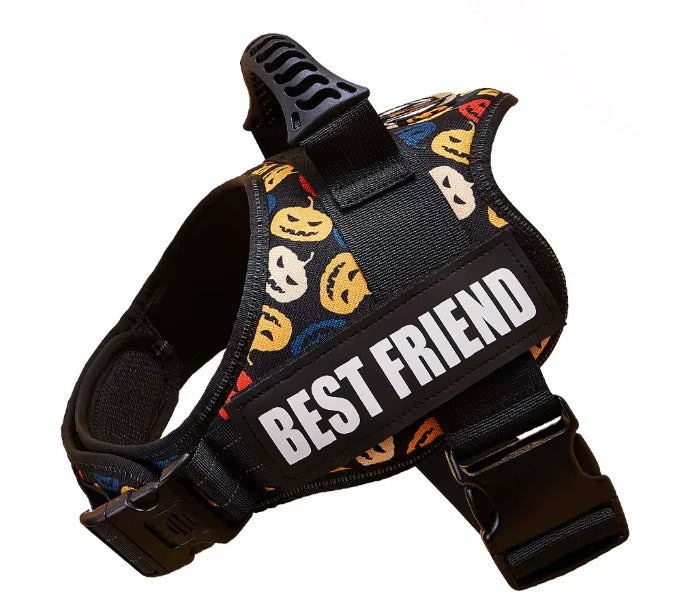 Custom No-Pull Dog Harness – Comfortable, Lightweight & Secure Control